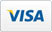 Visa Payment